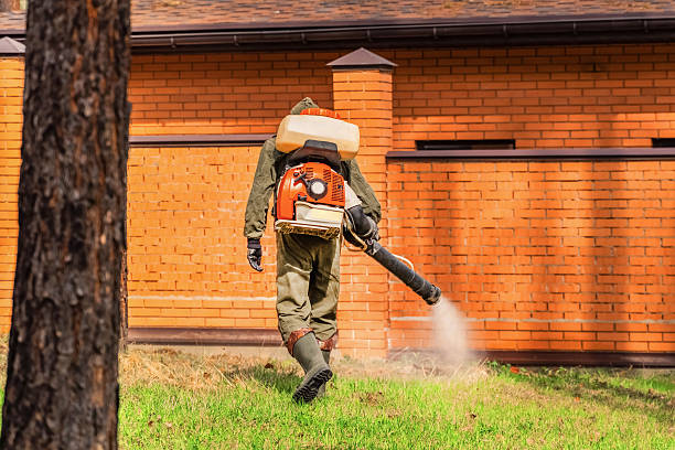 Trusted Rodent Control service in Wilsonville, OR - Nex Pest Control